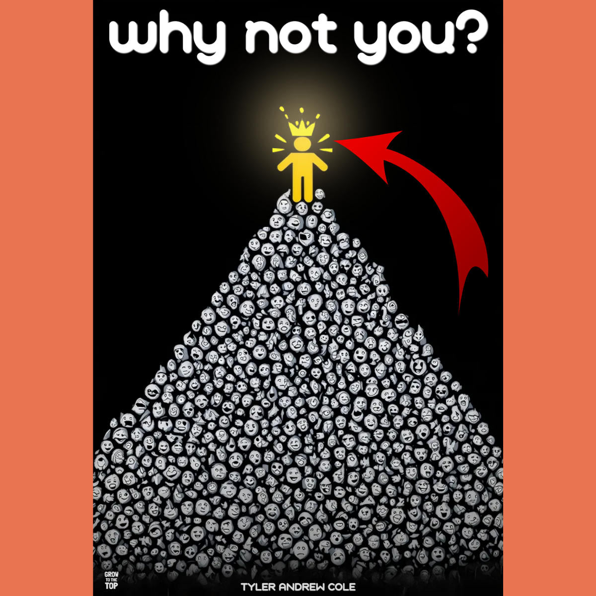 Cover image of Why Not You: The Surprisingly Simple Way To Get Ahead of 99% Of People by Tyler Andrew Cole - published by Grow To The Top