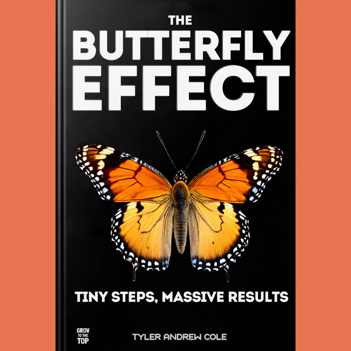 Cover image of The Butterfly Effect: Tiny Steps, Massive Results by Tyler Andrew Cole - published by Grow To The Top