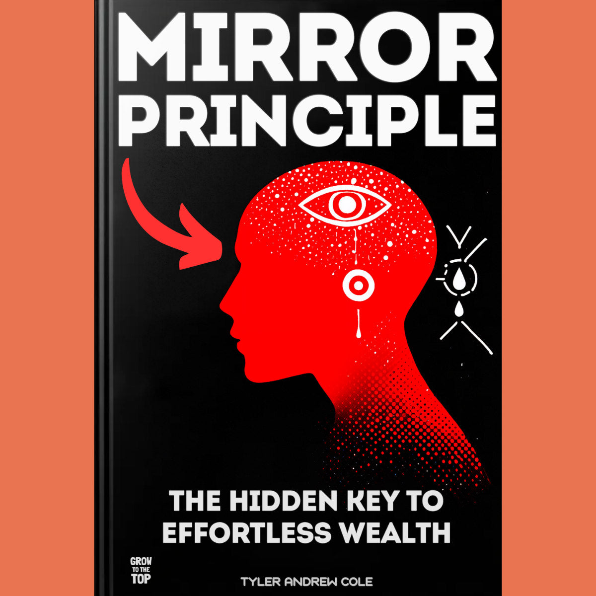 Cover image of Mirror Principle: The Hidden Key To Effortless Wealth by Tyler Andrew Cole - published by Grow To The Top