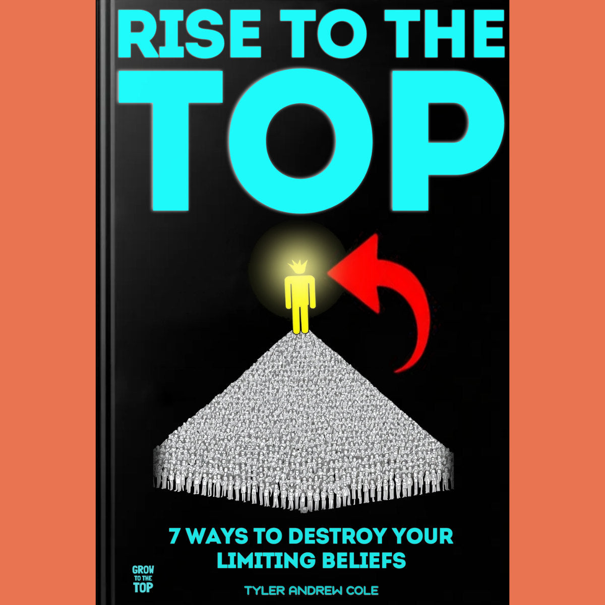 Cover image of Rise To The Top: 7 Ways To DESTROY Your Limiting Beliefs by Tyler Andrew Cole - published by Grow To The Top