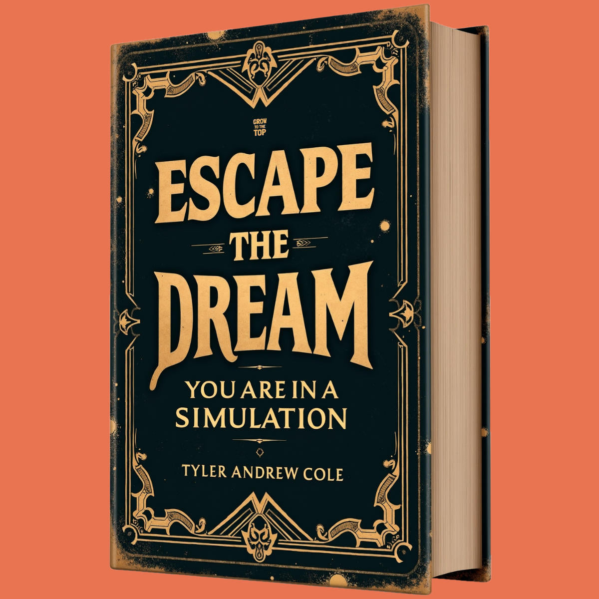 Cover image of Escape The Dream: You Are In A Simulation by Tyler Andrew Cole - published by Grow To The Top