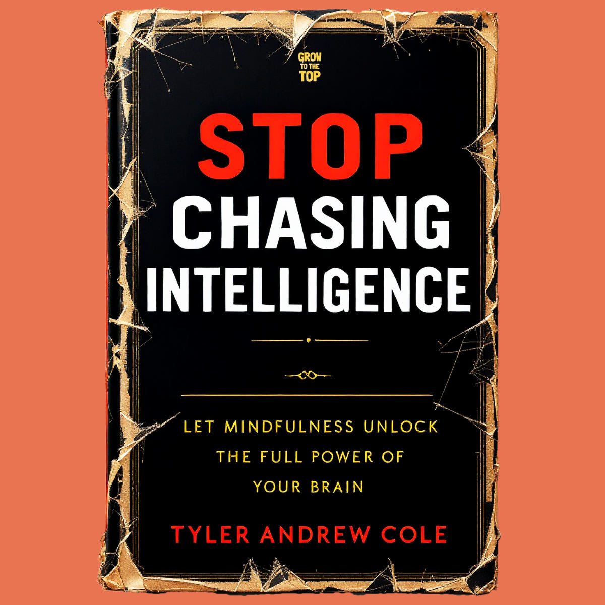 Cover image of Stop Chasing Intelligence: Let Mindfulness Unlock The Full Power Of Your Brain by Tyler Andrew Cole - published by Grow To The Top