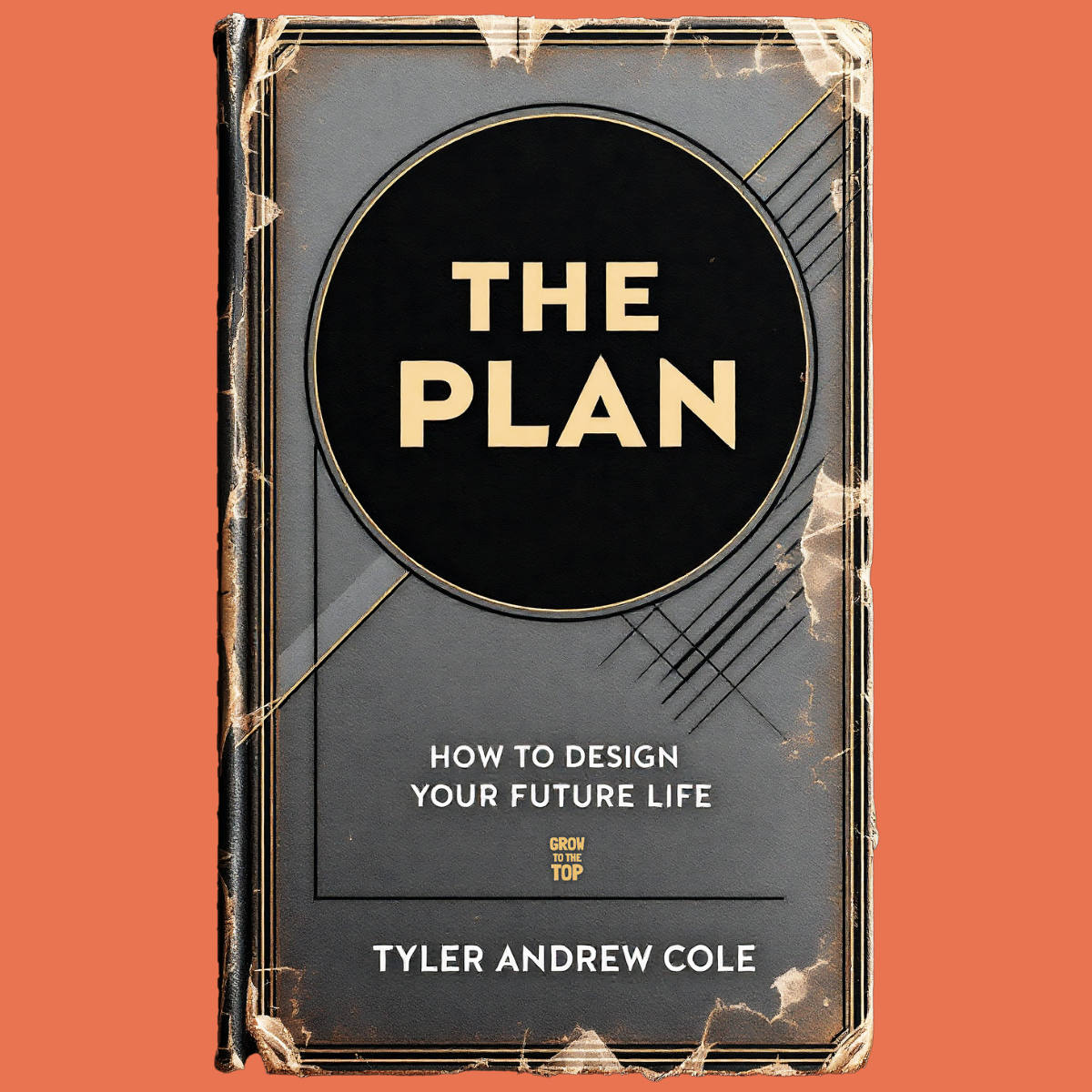 Cover image of The Plan: How To Design Your Future Life by Tyler Andrew Cole - published by Grow To The Top