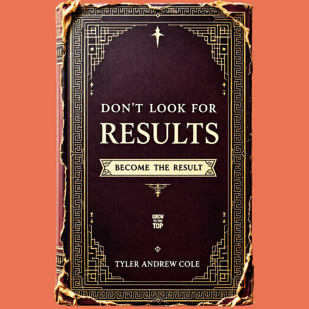 Cover image of Don't Look For Results: Become The Result by Tyler Andrew Cole - published by Grow To The Top