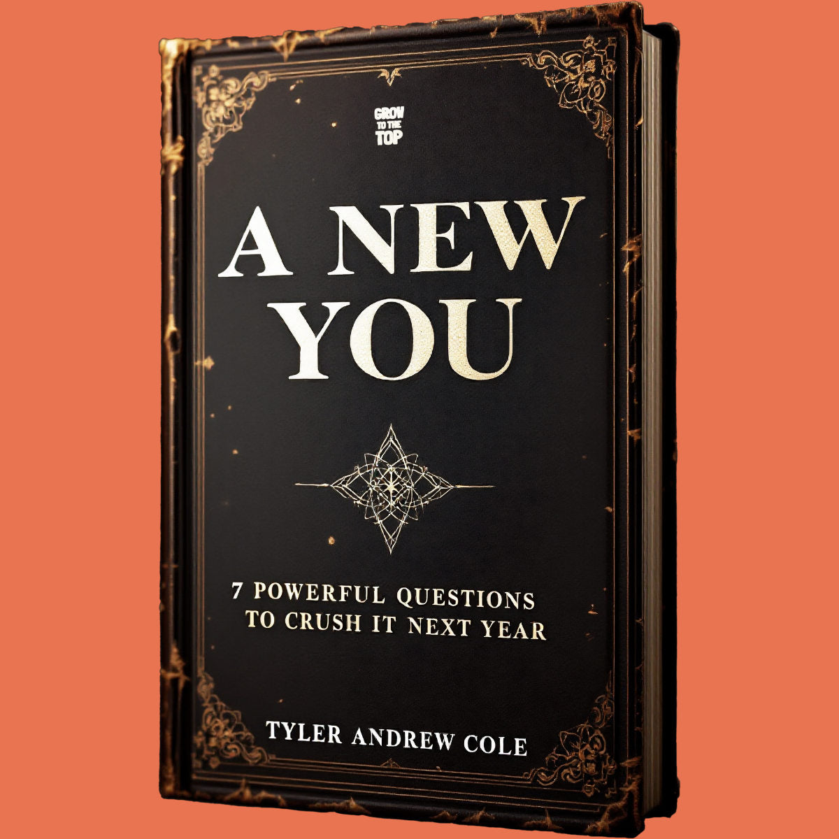 Cover image of A New You: 7 Powerful Questions To Crush It Next Year by Tyler Andrew Cole - published by Grow To The Top