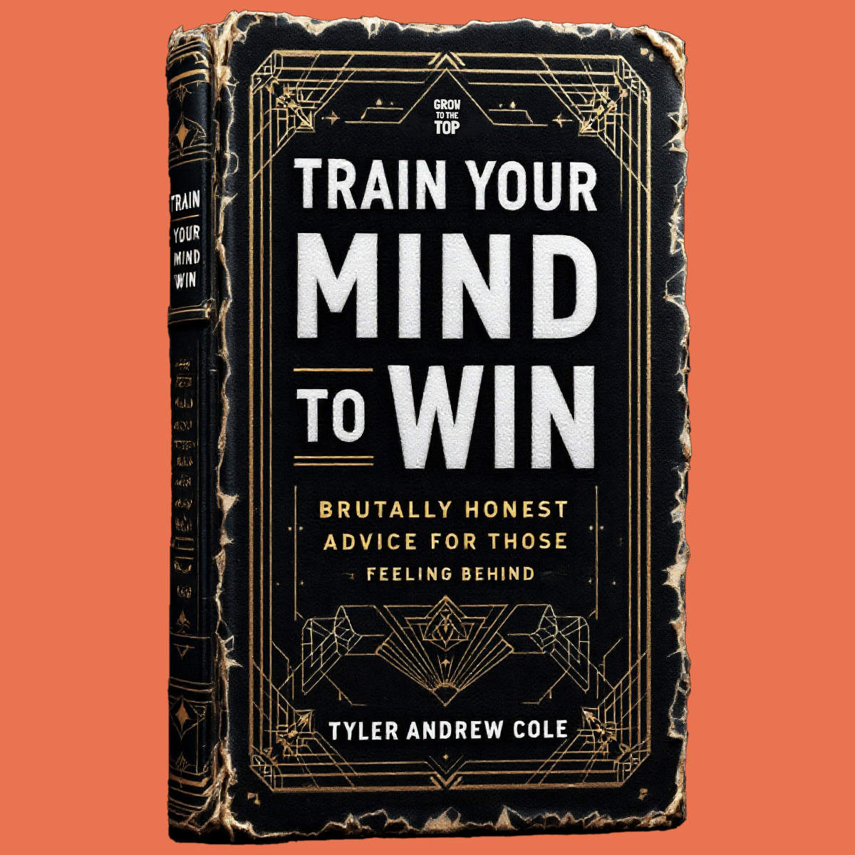 Cover image of Train Your Mind To Win: Brutally Honest Advice For Those Feeling Behind by Tyler Andrew Cole - published by Grow To The Top