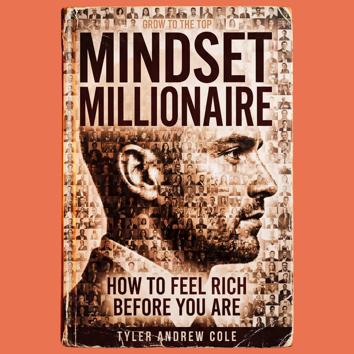 Cover image of Mindset Millionaire: How to Feel Rich Before You Are by Tyler Andrew Cole - published by Grow To The Top