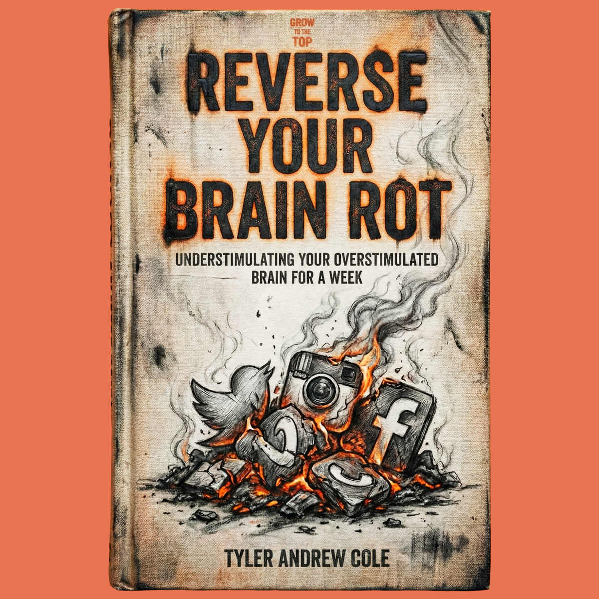 Cover image of Reverse Your Brain Rot: Understimulating Your Overstimulated Brain for a Week by Tyler Andrew Cole - published by Grow To The Top