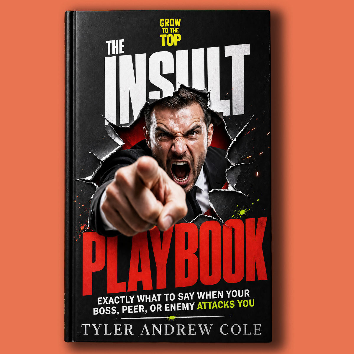 Cover image of The Insult Playbook: Exactly What to Say When Your Boss, Peer, or Enemy Attacks You by Tyler Andrew Cole - published by Grow To The Top